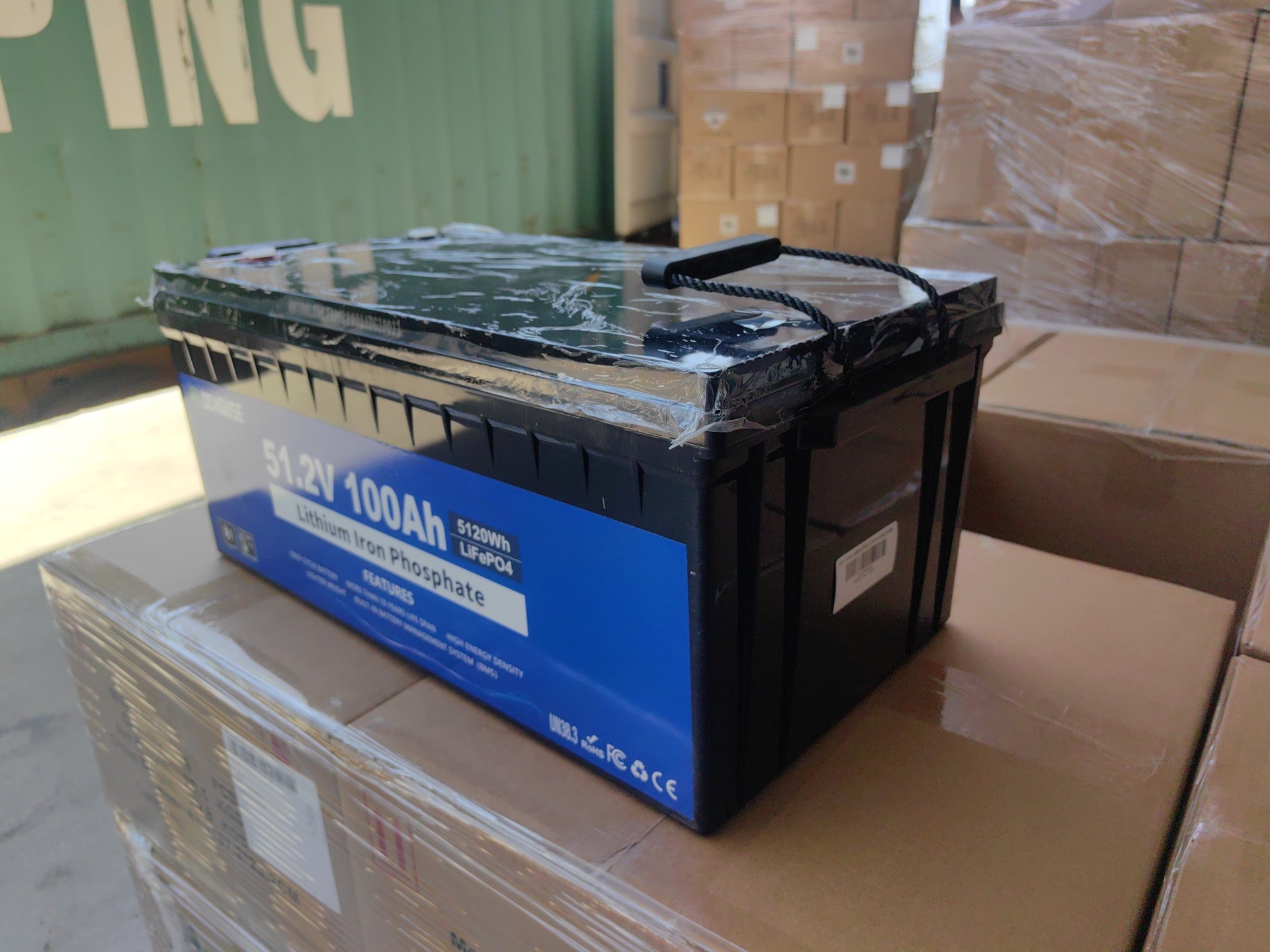 DC HOUSE Smart 48V 100Ah LiFePO4 ABS Plastic Battery with Charger - Bluetooth & LCD Monitoring for Golf Carts