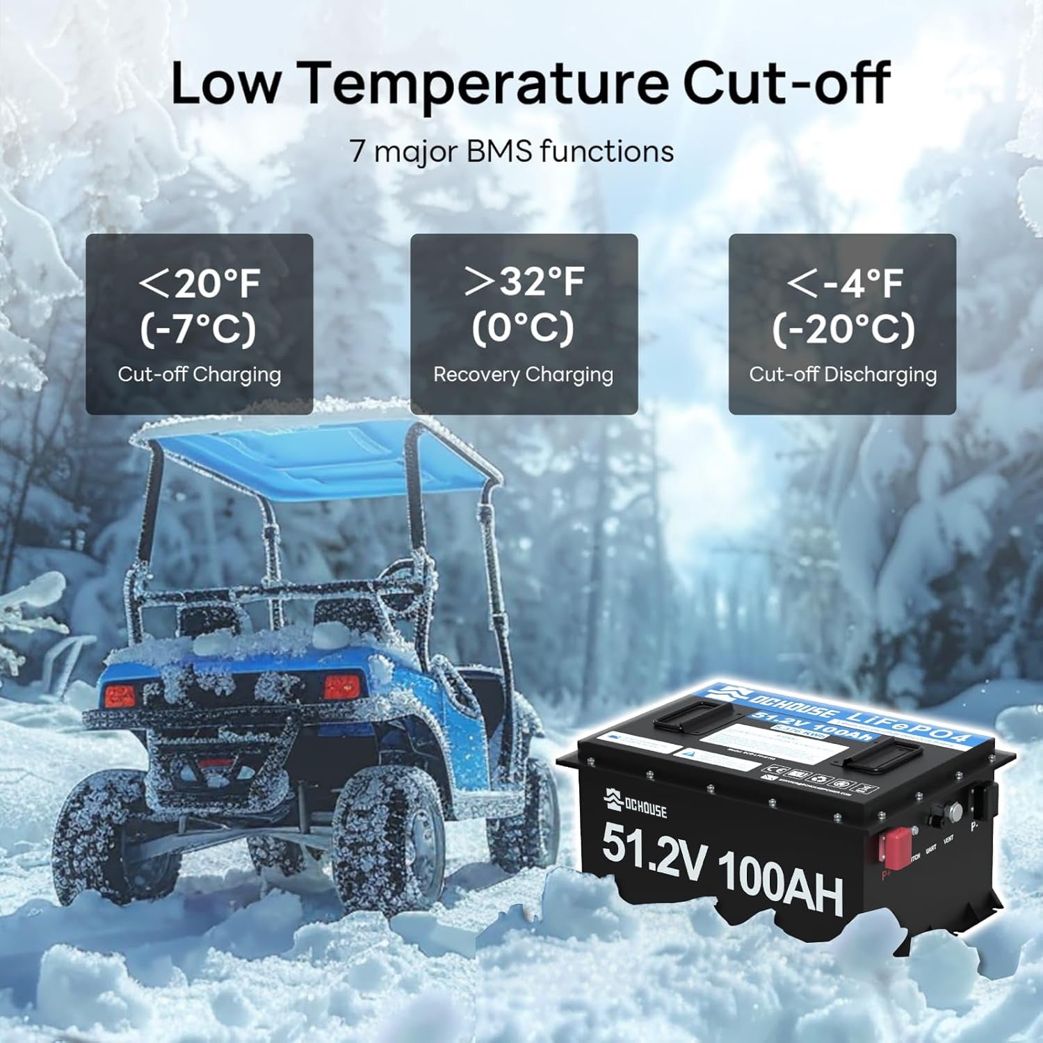 DC HOUSE Premium 48V 100Ah LiFePO4 Metal Case Battery - Ideal for Golf Carts (No Charger)